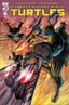 Teenage Mutant Ninja Turtles (2024) #06 Ferreyra Var Comics - Back Issues IDW Default Title