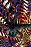 Vicarious #05 1:10 Panosian "Virgin" Var Comics - Back Issues Boom! Entertainment Default Title
