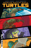 Teenage Mutant Ninja Turtles (2024) #08 1:25 Cismesija Var Comics - Back Issues IDW Default Title