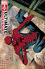 Ultimate Spider-Man (2024) #15 Checchetto Var Comics - Back Issues Marvel Comics
