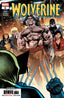 Wolverine (2024) #06 2nd Ptg Comics - Back Issues Marvel Comics Default Title