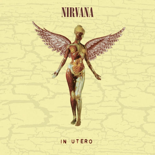 Nirvana - In Utero. 30th Anniversary Edition
