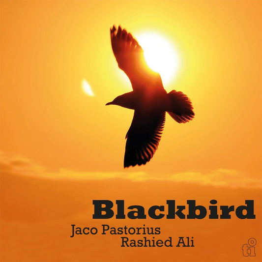 Jaco Pastorius & Rashied Ali - Blackbird. Yellow Vinyl