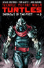 Teenage Mutant Ninja Turtles (2011) TP 03 Shadows of the Past Independent IDW Publishing Default Title  