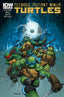 Teenage Mutant Ninja Turtles (2011) #041 Back Issues IDW Publishing Default Title  