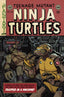 Teenage Mutant Ninja Turtles (2011) #048 Ryan Brown Var Back Issues IDW Publishing Default Title  