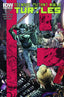 Teenage Mutant Ninja Turtles (2011) #045 2nd Ptg Back Issues IDW Publishing Default Title  