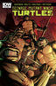 Teenage Mutant Ninja Turtles (2011) #053 1:10 Rojo Var Back Issues IDW Publishing Default Title  