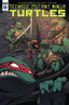 Teenage Mutant Ninja Turtles (2011) #064 1:10 Huang Var Back Issues IDW Publishing Default Title  