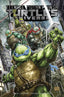 Teenage Mutant Ninja Turtles Universe TP 01 Independent IDW Publishing Default Title  