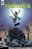 Teenage Mutant Ninja Turtles (2011) #069 1:10 Roche Var Back Issues IDW Publishing Default Title  