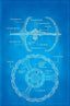 Star Trek Deep Space Nine The Dog of War #01 1:50 Schematic "Virgin" Var Comics - Back Issues IDW Default Title